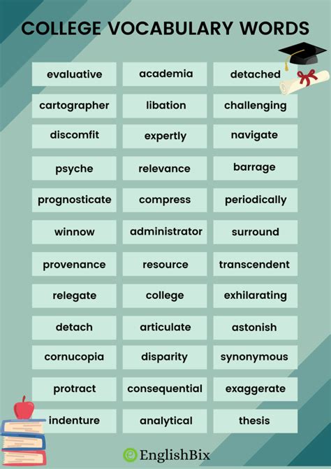 another word for college education